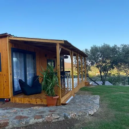 Suzi's Tiny Holiday home
